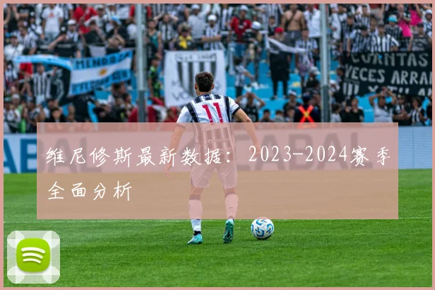 维尼修斯最新数据:2023-2024赛季全面分析